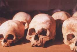 Skulls featured on The Mysterious Origins of Man